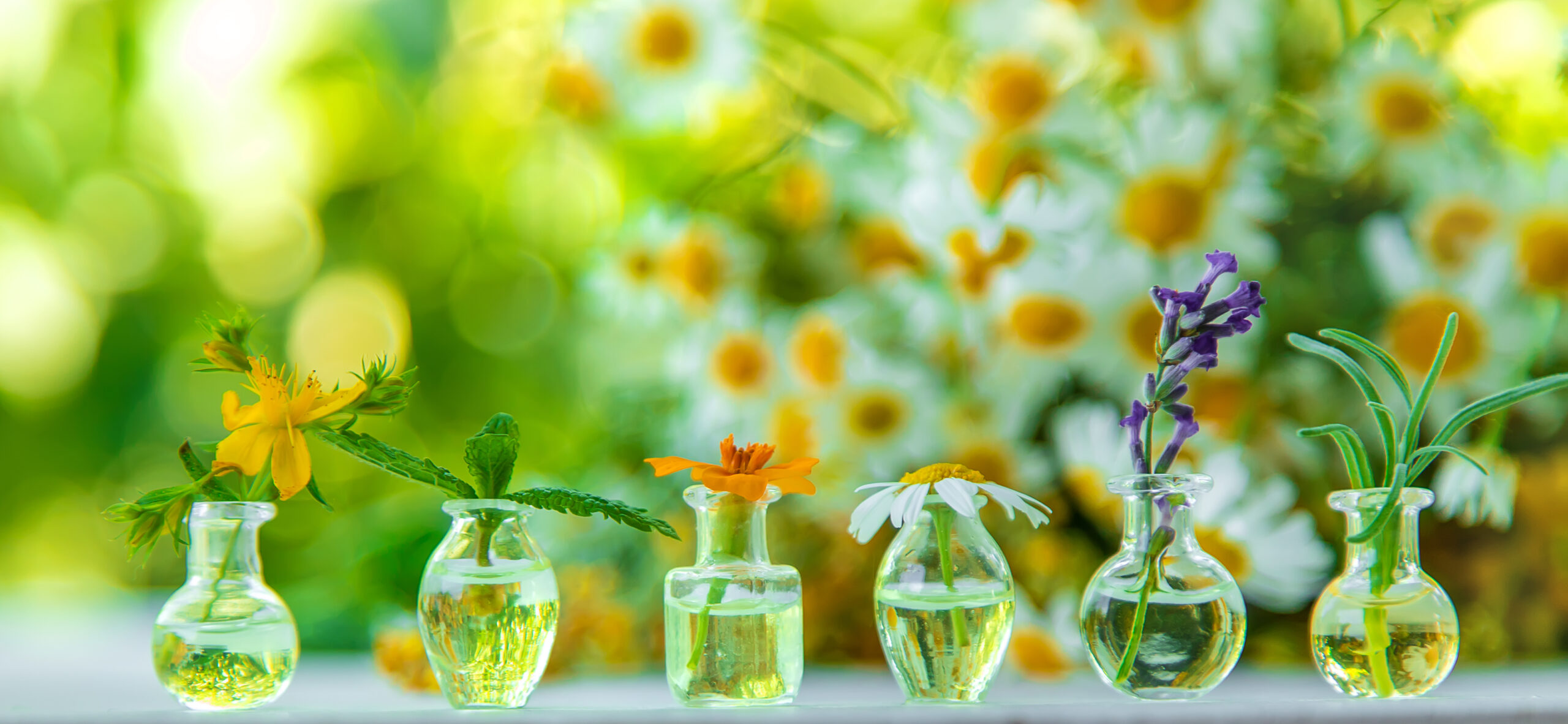 Piccoli contenitori che contengono vari tipi di fiori ed essenze